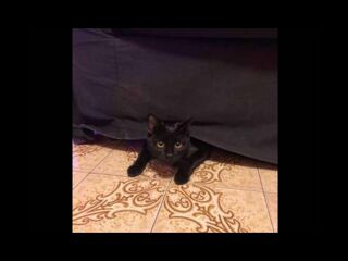  Colocation � louer 6 pi�ces 120 m�