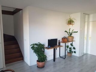  Colocation � louer 3 pi�ces 67 m�