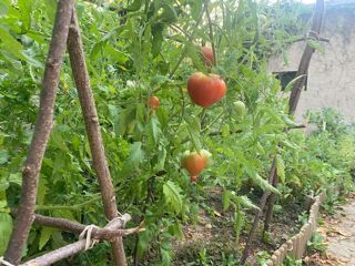  Colocation � louer 10 pi�ces 250 m�