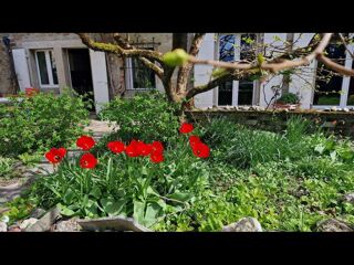  Colocation � louer 1 pi�ce 20 m�