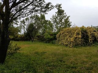  Colocation � louer 6 pi�ces 200 m�