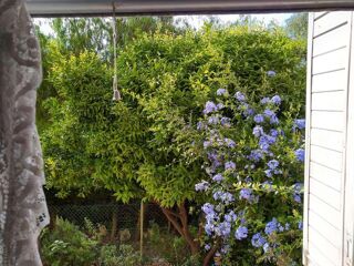  Colocation � louer 4 pi�ces 75 m�