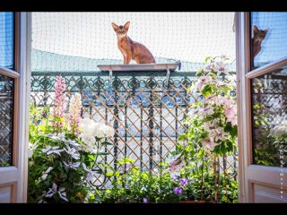  Colocation � louer 3 pi�ces 50 m�