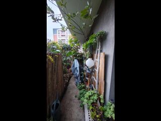  Colocation � louer 1 pi�ce 30 m�