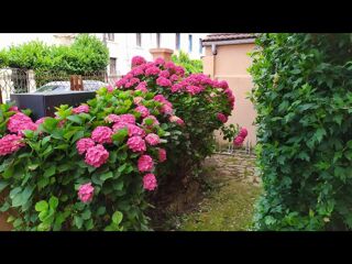  Colocation � louer 3 pi�ces 65 m�