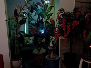  Colocation � louer 2 pi�ces 70 m�