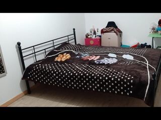  Colocation  louer 1 pice 14 m