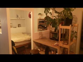  Colocation � louer 1 pi�ce 33 m�