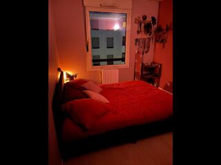  Colocation � louer 2 pi�ces 50 m�