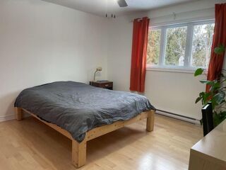  Colocation  louer 10 pices 200 m