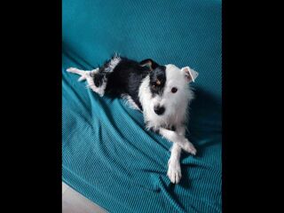  Colocation  louer 5 pices 72 m