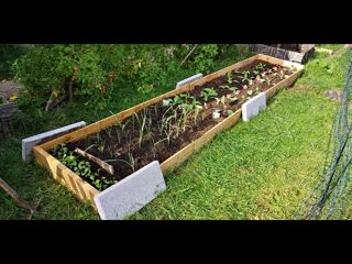  Colocation � louer 7 pi�ces 155 m�