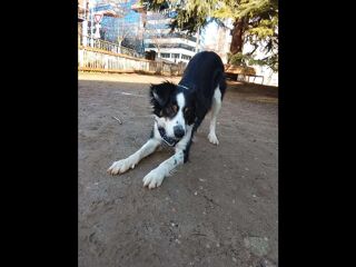  Colocation � louer 5 pi�ces 85 m�