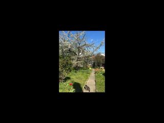  Colocation � louer 7 pi�ces 125 m�