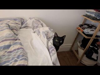  Colocation � louer 4 pi�ces 80 m�