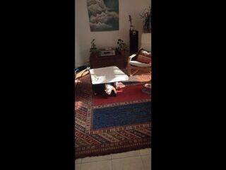  Colocation � louer 5 pi�ces 99 m�