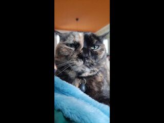  Colocation � louer 10 pi�ces 202 m�