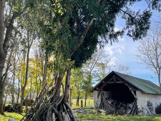  Colocation � louer 6 pi�ces 120 m�