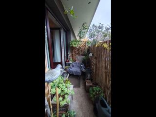  Colocation � louer 1 pi�ce 30 m�