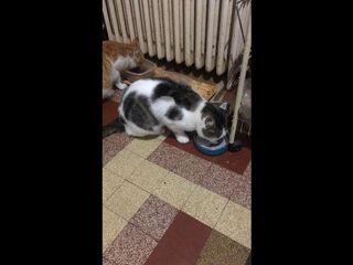  Colocation � louer 4 pi�ces 72 m�