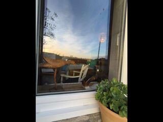  Colocation � louer 9 pi�ces 200 m�