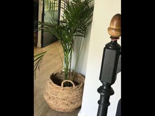  Colocation � louer 10 pi�ces 200 m�