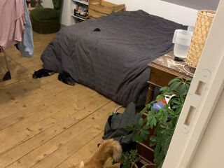  Colocation � louer 10 pi�ces 250 m�