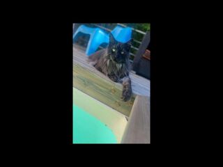  Colocation � louer 5 pi�ces 400 m�