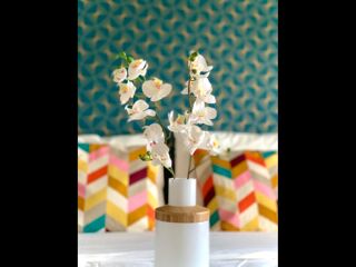  Colocation � louer 6 pi�ces 107 m�