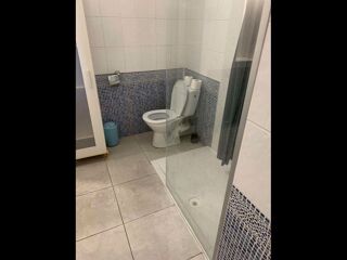  Colocation � louer 7 pi�ces 120 m�