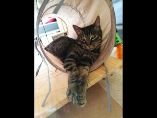  Colocation � louer 7 pi�ces 105 m�