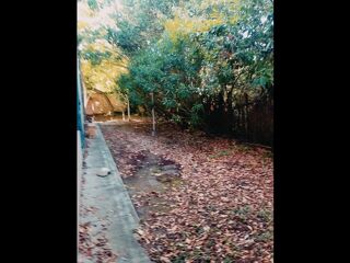  Colocation � louer 5 pi�ces 80 m�