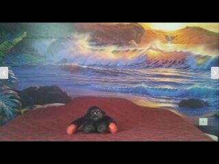  Colocation � louer 5 pi�ces 90 m�