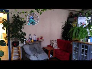 Colocation � louer 5 pi�ces 85 m�