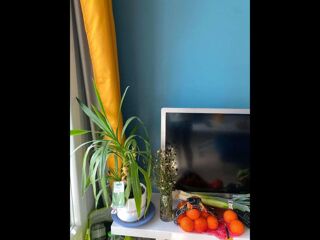  Colocation � louer 5 pi�ces 68 m�