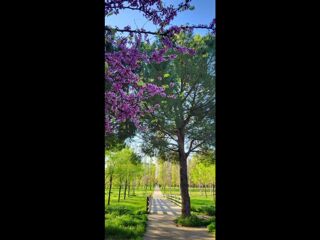  Colocation � louer 4 pi�ces 80 m�