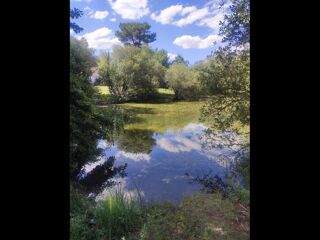  Colocation � louer 4 pi�ces 210 m�