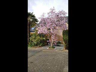  Colocation � louer 6 pi�ces 90 m�