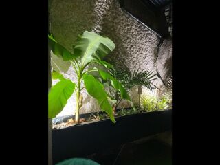  Colocation � louer 4 pi�ces 60 m�