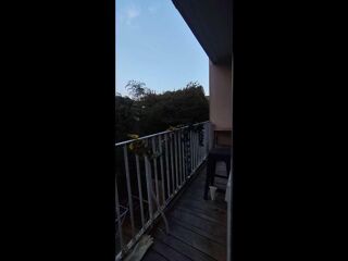  Colocation � louer 5 pi�ces 70 m�