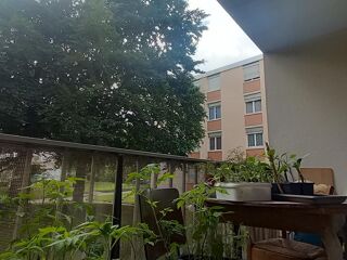  Colocation  louer 5 pices 100 m