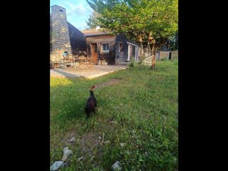  Colocation � louer 8 pi�ces 150 m�