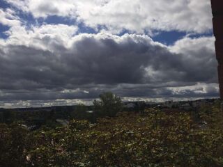  Colocation � louer 2 pi�ces 50 m�