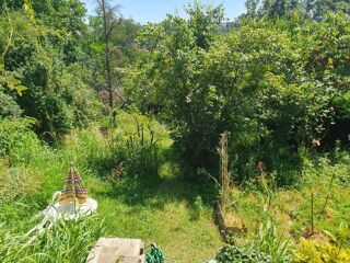  Colocation � louer 10 pi�ces 230 m�