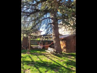  Colocation � louer 3 pi�ces 550 m�