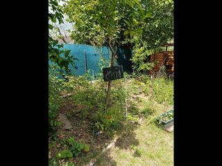  Colocation � louer 4 pi�ces 145 m�