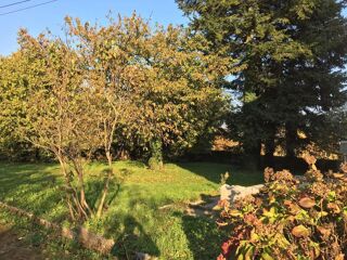  Colocation � louer 7 pi�ces 170 m�