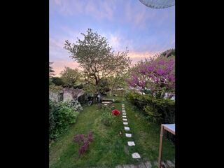  Colocation � louer 9 pi�ces 300 m�