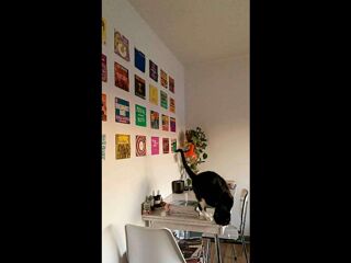  Colocation � louer 3 pi�ces 69 m�