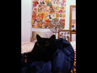  Colocation � louer 4 pi�ces 90 m�